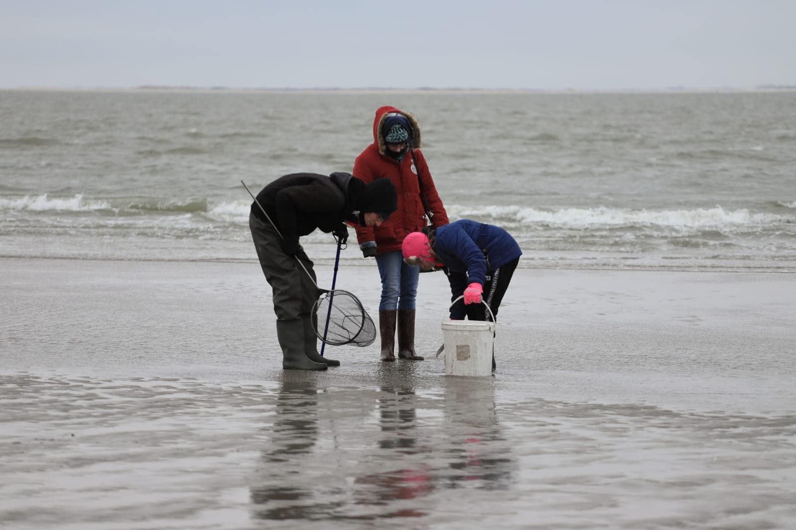 Romy Ameland Zeehondencreche